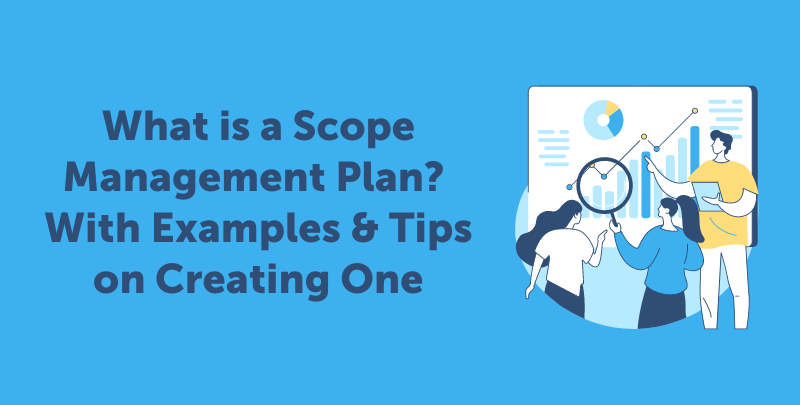 what is scope in a business plan